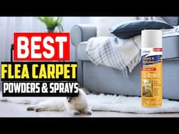 ✅Top 5 Best Flea Carpet Powders  & Sprays in 2025