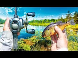 Exploring A MASSIVE River In Search Of GIANT Bass (Best Baits)