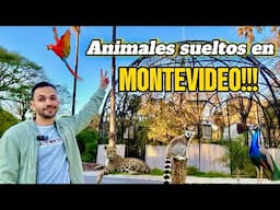 🚀🇺🇾El ZOOLÓGICO que no te esperas en URUGUAY‼️