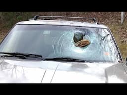 MUST LISTEN New Recording Sent In And It's Awesome! Also, What Throws Logs At Cars At Night?