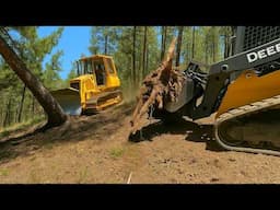 Clearing Trees on the Side of a Mountain