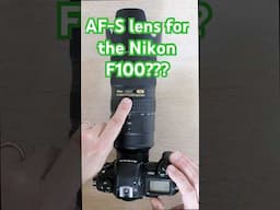 Nikon F100 and the Nikkor AF-S 70-200 f/2.8 II  #photography #nikon #nikonf100 #nikon70200