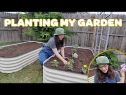planting my vegetable garden! | vegetable gardening made easy! 🌱🍉🥦🥕🌽