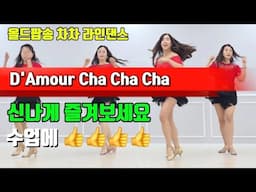 D'Amour Cha Cga Cha |Line Dance Improver|올드팝송 라인댄스