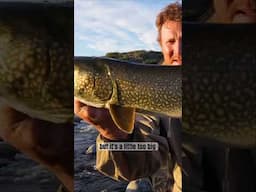 Fishing Below Waterfall on the Hood River in Nunavut, Canada