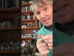 To 5 Cat Care Tips from a Holistic Veterinarian’s point of view