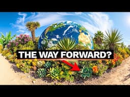 Why Hydrozoning Might Just Be The Future of Gardening