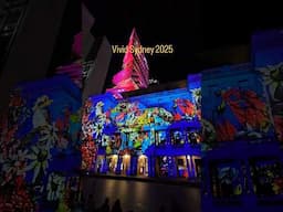 Vivid Sydney 2025 💞🎆🎊#vivid #vivid2025 #vividsydney #sydney #australia #nsw #ilovesydney