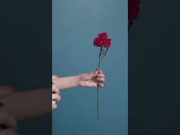 Santa Solución al Color de tus Flores #flores #floreria #florista #diseñofloral #oasisfloral