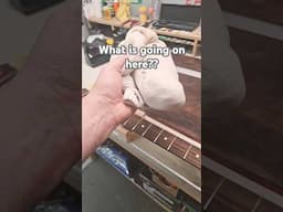 What is going on here?  A Fender Precision neck and a HOT SOCK full of rice...