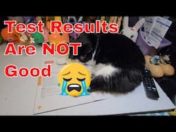 Gastric Empty Study * Gastroparesis * Chronic Illness