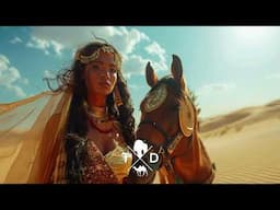Qaraqoom - Ilon [PREMIERE]