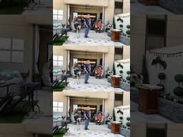 Longest jump by a cat is over 2.5 metres!