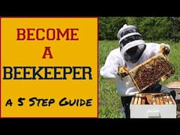 Begin Your Beekeeping Journey Today With These 5  Steps