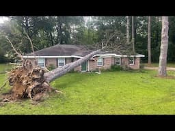This tree might have totaled this house out