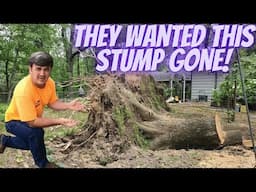 “Epic Root Ball Grinding Watch Me Tackle a Giant Stump!”