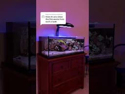 How do I clean a small tank?