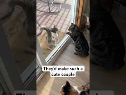 It’s like real life Romeo and Juliet