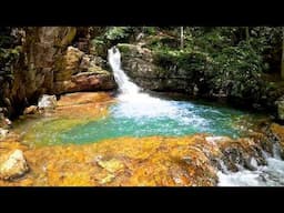 Most People Stop at Blue Hole Falls – We Kept Going…