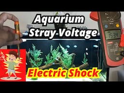 Aquarium Electric Current Shock | Eliminate Aquarium Stray Voltage | Fish Tank | umair saeed | Urdu