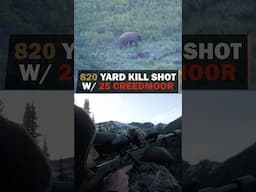 Blonde Black Bear Shot with 25 Creedmoor at 820 Yards!
