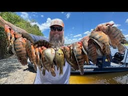 Catching Exotic Invasive Fish in Florida! Mayan Cichlids! I put one in my FISH TANK!