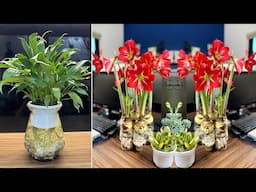 Top Drought Prone Flowers Grown Hydroponically – Strange But Beautiful