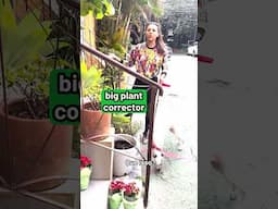 Corretor de plantão em inglês é…