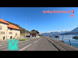 Alan Walker Spring In Switzerland 🇨🇭 Thun Thunersee