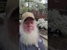 Spring Has Sprung In Athens Georgia - Everything Is Covered In Sprung - JOMA Construction