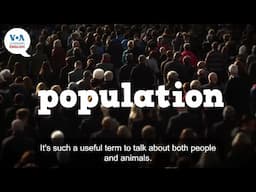 Everyday Grammar Video: 'Population' in Sentences