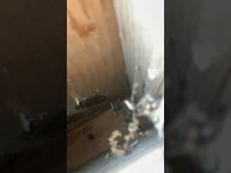 Mannn I stuck my hand in there to grab a wire n grabbed a dang wasp nest retreating!