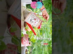 Purana watering can Reuse kiya 💕💕 #diywithkanchan #diy #shorts #wateringcan