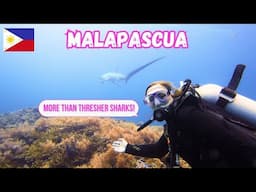 Best Scuba Diving in the Philippines?! Southeast Asia vlog 61