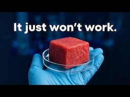 Lab grown meat isn't going to save us...
