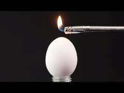 200 Epic Tricks You Have to See to Believe
