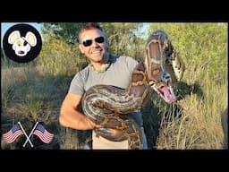 Top 5 Most Dangerous Invasive Species In The Us
