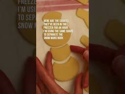 Video 5 of your first ever cookies projects  Puzzle Cookies