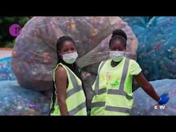 African Entrepreneurs Drive Eco-Friendly Innovations to Combat Climate Change