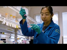 UC Berkeley research builds a better tomorrow