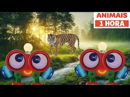 Aprenda animais para bebês | Meus amigos animais com Robi | Sons de animais | Primeira Universidade