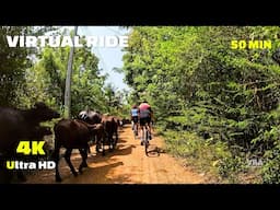 Indoor Cycling Workout Sri Lanka Ride (with Music) 4K Video 50 min Virtual Bike Ride – Scenery
