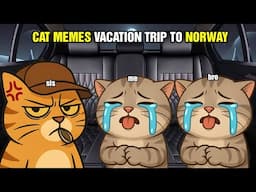 CAT MEMES VACATION TRIP TO NORWAY