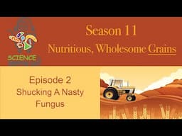 Science In Your Shopping Cart | S11: Wholesome, Nutritious Grains || Ep2:  Shucking A Nasty Fungus