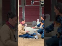 Sue Bird cuddles a turkey at The Gentle Barn 💚