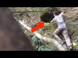 15 Unsolved Forest Mysteries That Will Give You Chills