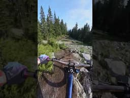 Rock and Roll at this new Bike Park