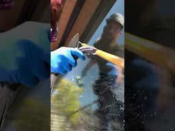 Cleanest Squeegee Swipes ✨