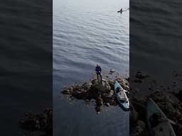 Paddleboard time, a trip down the coast.#paddleboarding #paddleboard