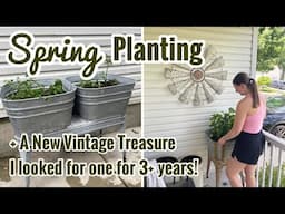 It’s Finally Warm ☀️ Spring Planting & Vintage Finds